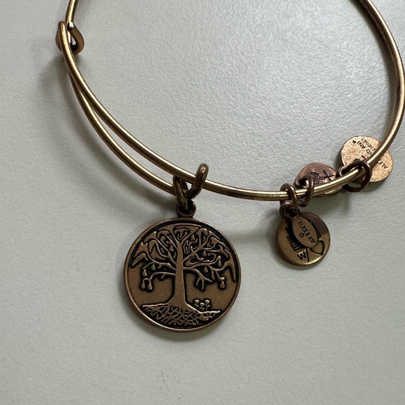 EUC - Alex and Ani Tree of Life 2014 Bracelet - Picture 4 of 4